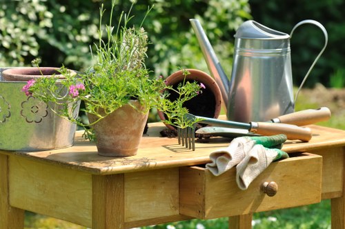 Sustainable landscaping practices in Clapham