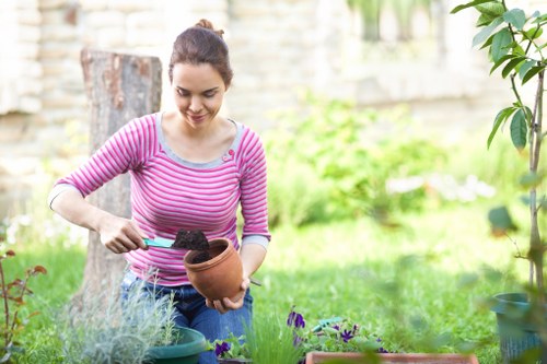 Professional pruning of garden shrubs in Clapham