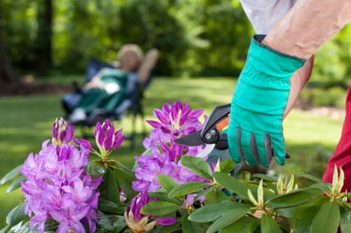 Operator wearing PPE finishing a lawn in Clapham