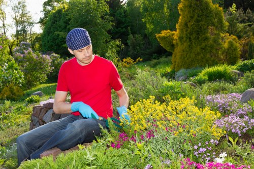 Lush green lawn being mowed in a Clapham garden