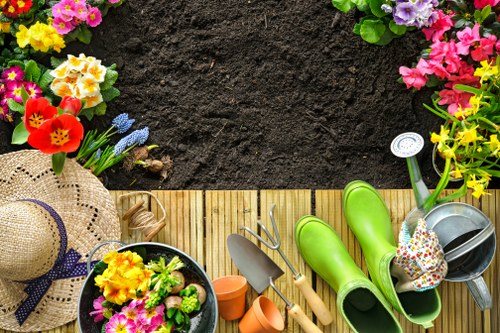 Eco-friendly lawn care practices in Clapham