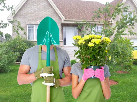 Healthy trees after lopping in garden