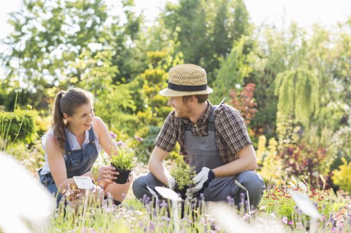 Sustainable garden features including rainwater harvesting in Clapham