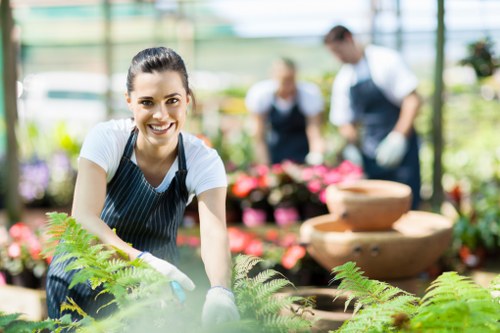 Our dedicated team maintaining a lush lawn